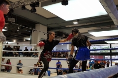 Fight Fest – Karamunsing Championship - photo 30