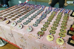 KL Wushu Championship 2019 - Medals
